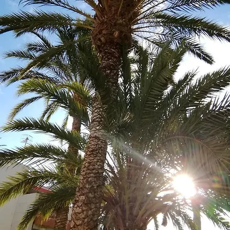 Cozy With Amazing Views To Garden Next To The Ocean Appartamento Costa Del Silencio